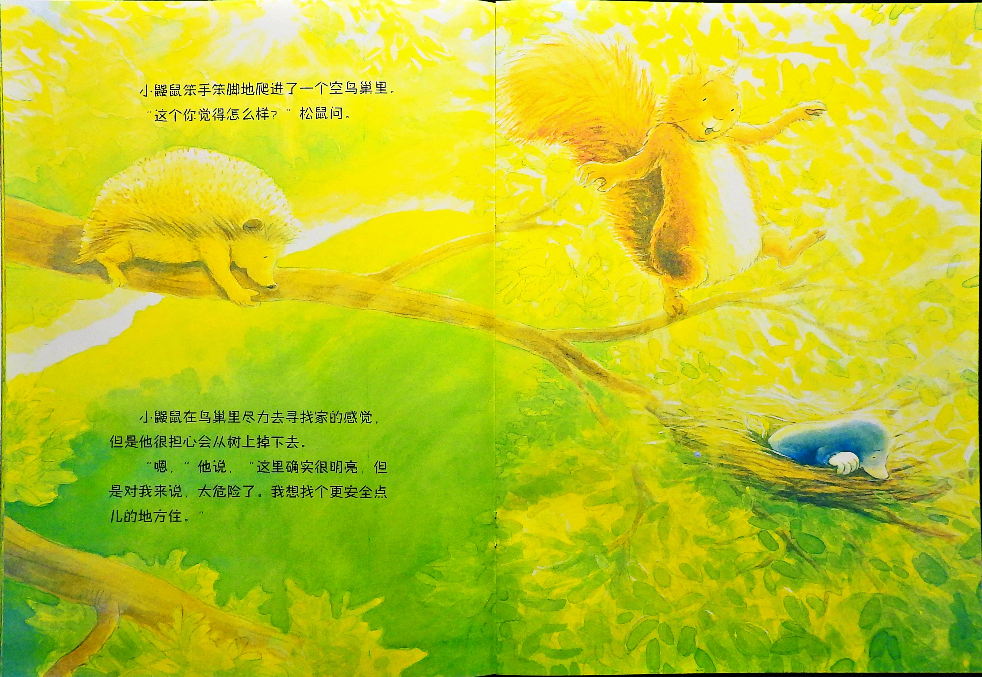 小鼹鼠找新家 (08),绘本,绘本故事,绘本阅读,故事书,童书,图画书,课外阅读